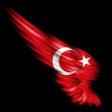 Miraç Kemal Ege